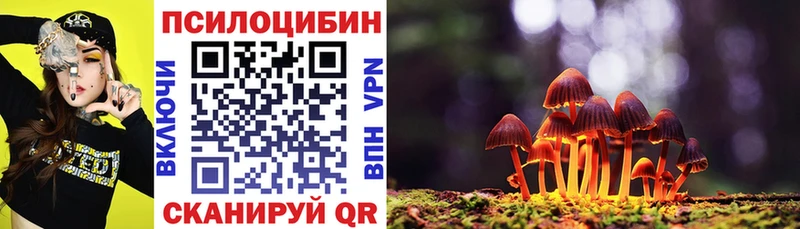 Псилоцибиновые грибы Cubensis  Купить  Котлас 